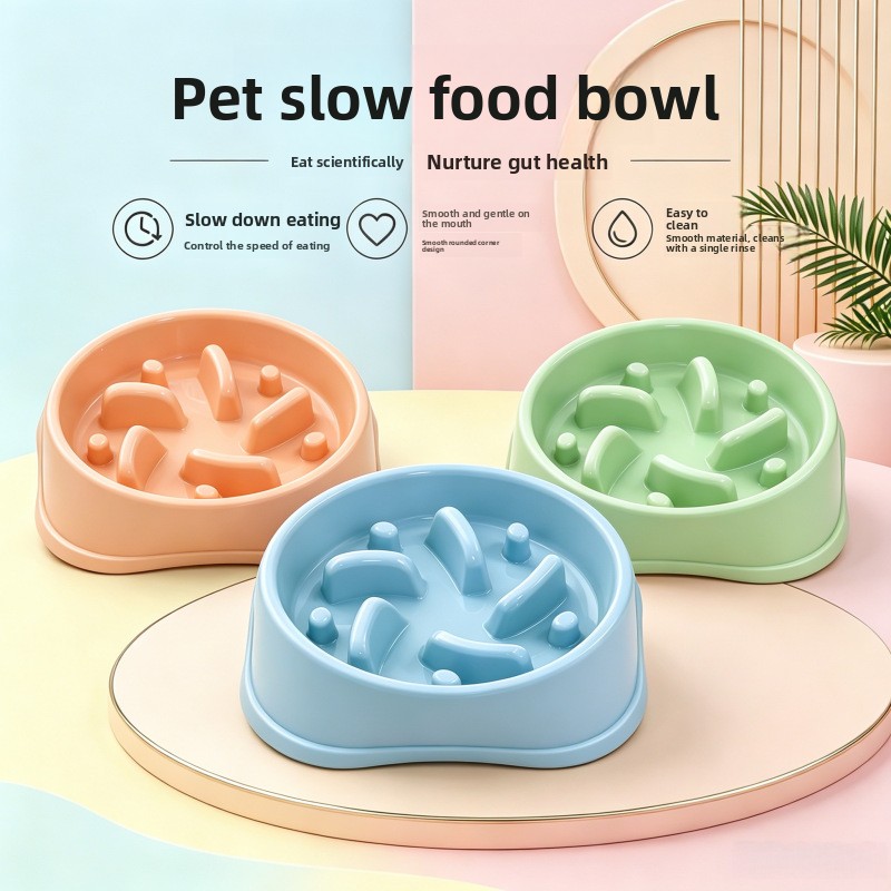 Royal Canin Food Medium - 1/3 Peças Tigela Antiderrapante para Cães