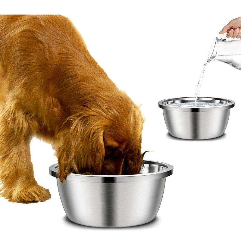 Royal Canin Food Medium - Alimentadores para cães de aço inoxidável,