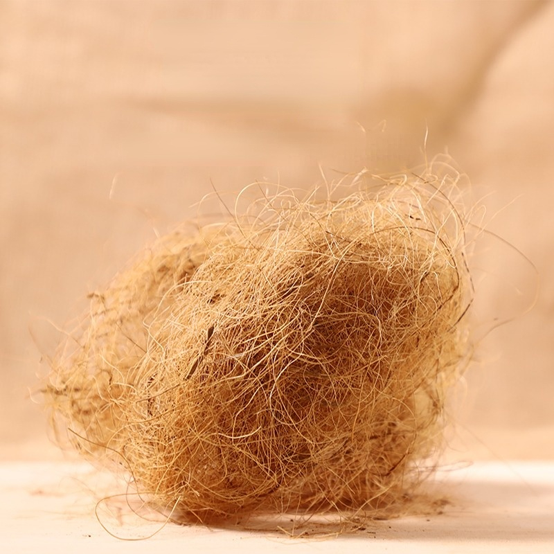 Substrate Coconut Fiber - 100g finch fibra de coco substrato