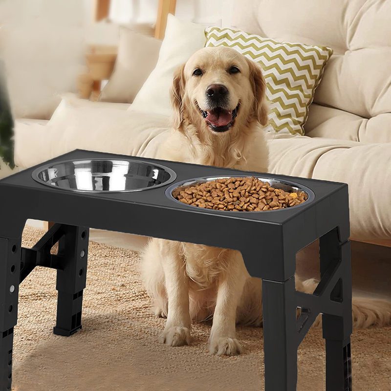Royal Canin Food Medium - BOOTEELY Tigelas elevadas para alimentação de