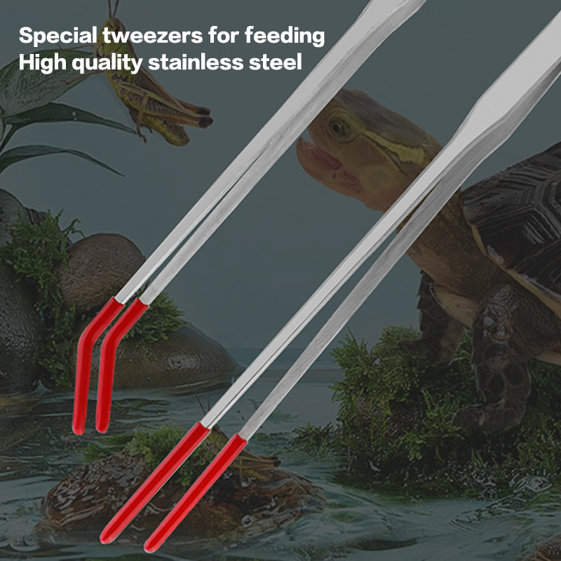 Ferramentas especializadas par - Feeding Tong Stainless avaliação e preço