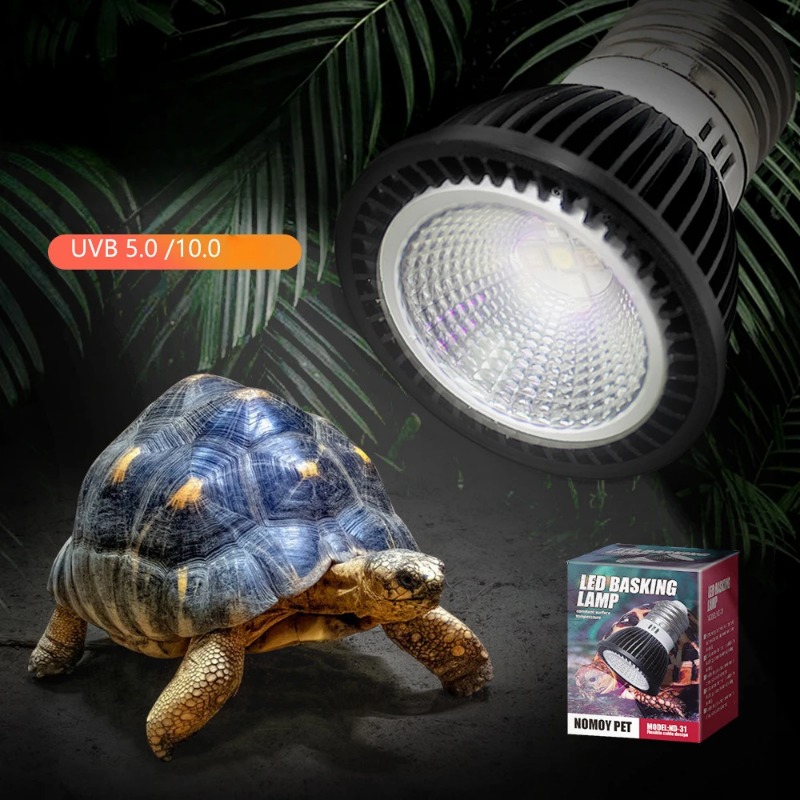 Nooy réptil 110/220v uvb + uva - Calcium Powder Reptile avaliação e preço