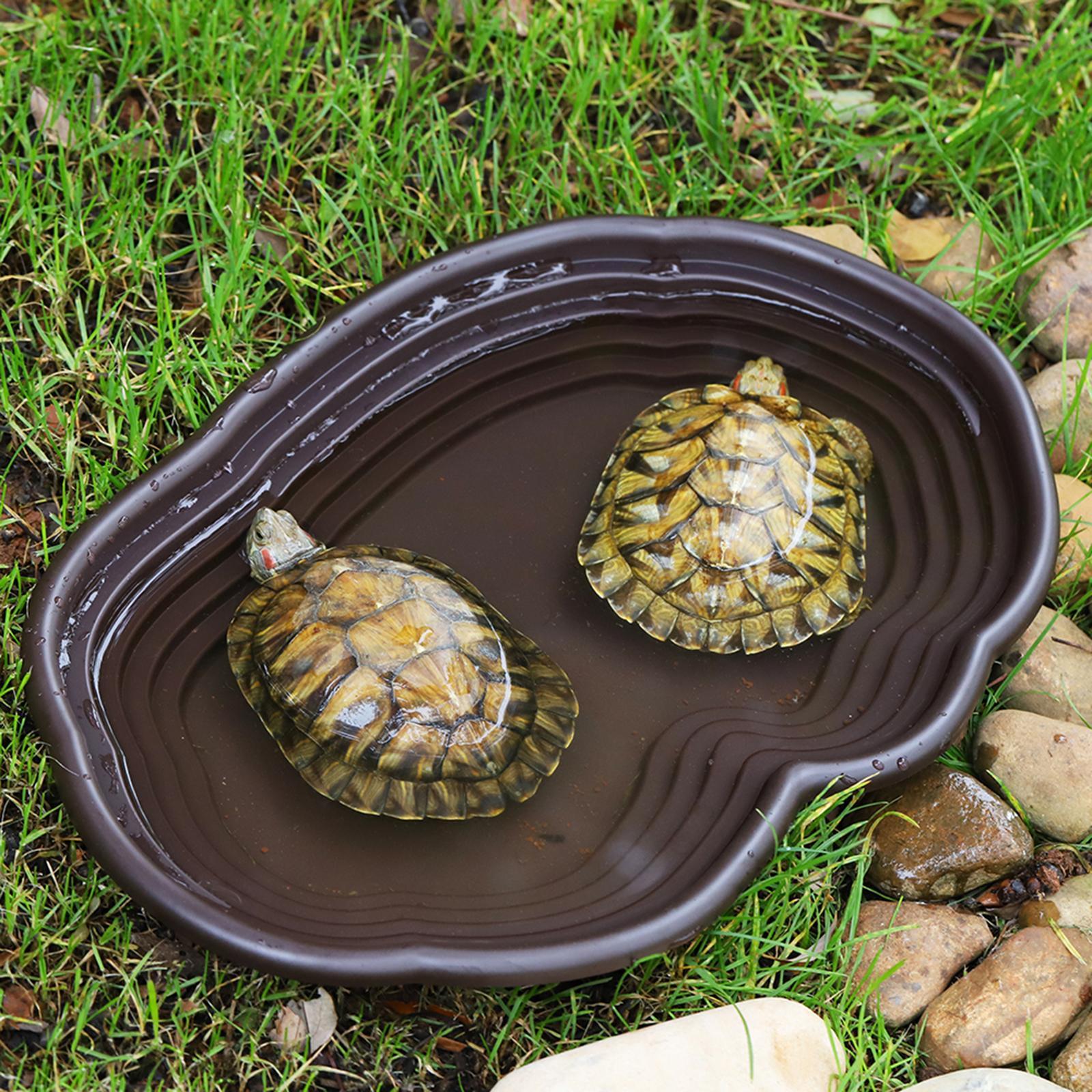 Prato de banho para répteis, a - Water Dish Reptile avaliação e preço