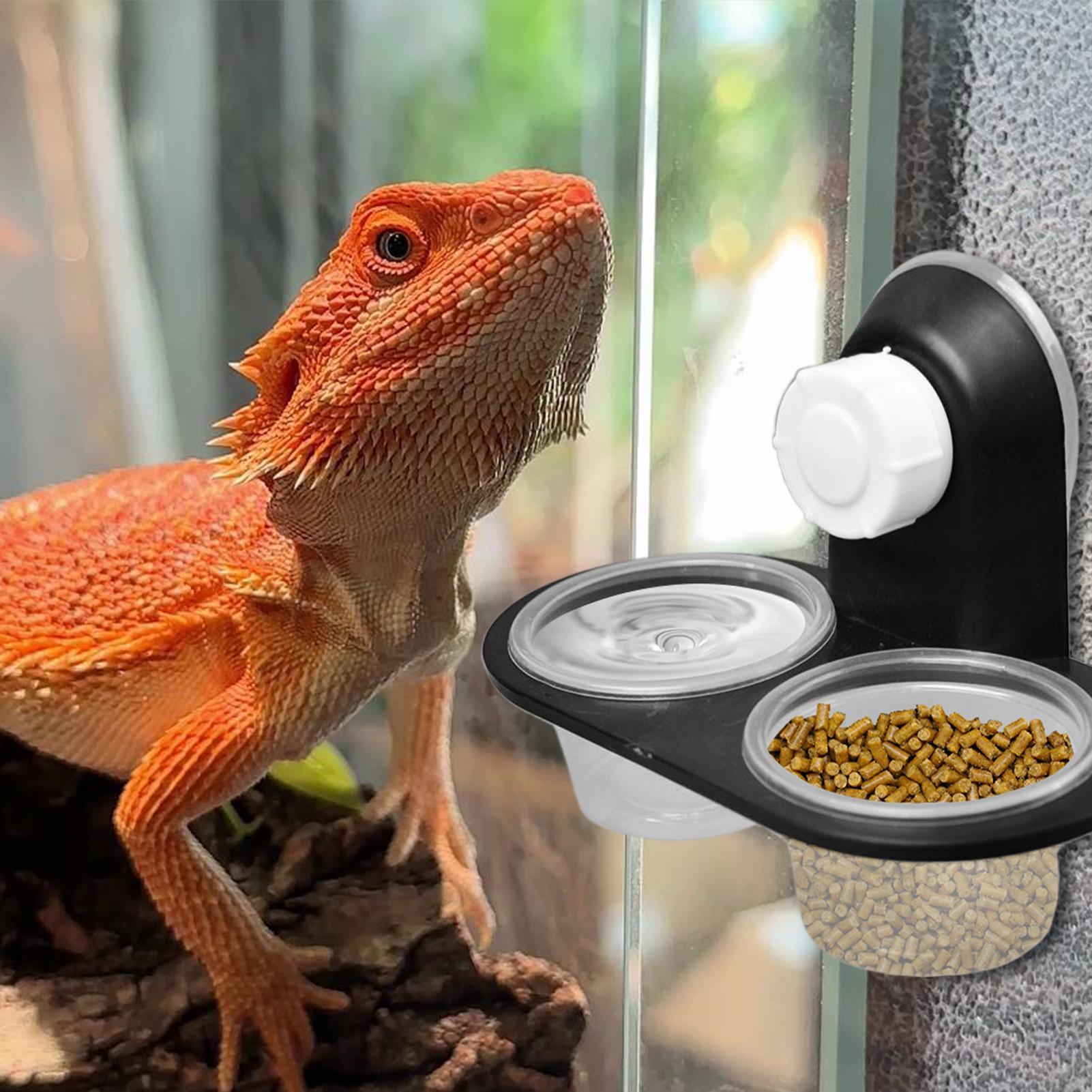 Prato de Alimentação para Geck - Water Dish Reptile avaliação e preço