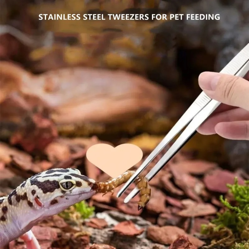 Pinça de aço inoxidável multif - Feeding Tong Stainless avaliação e preço