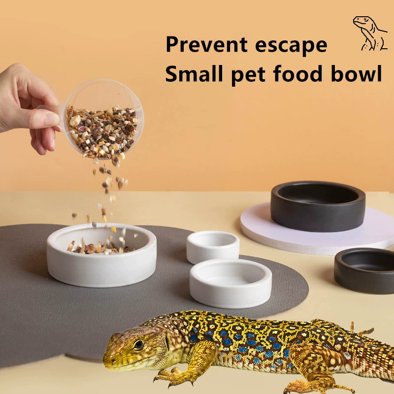 NOVIDADE! Tigela de Cerâmica A - Water Dish Reptile avaliação e preço