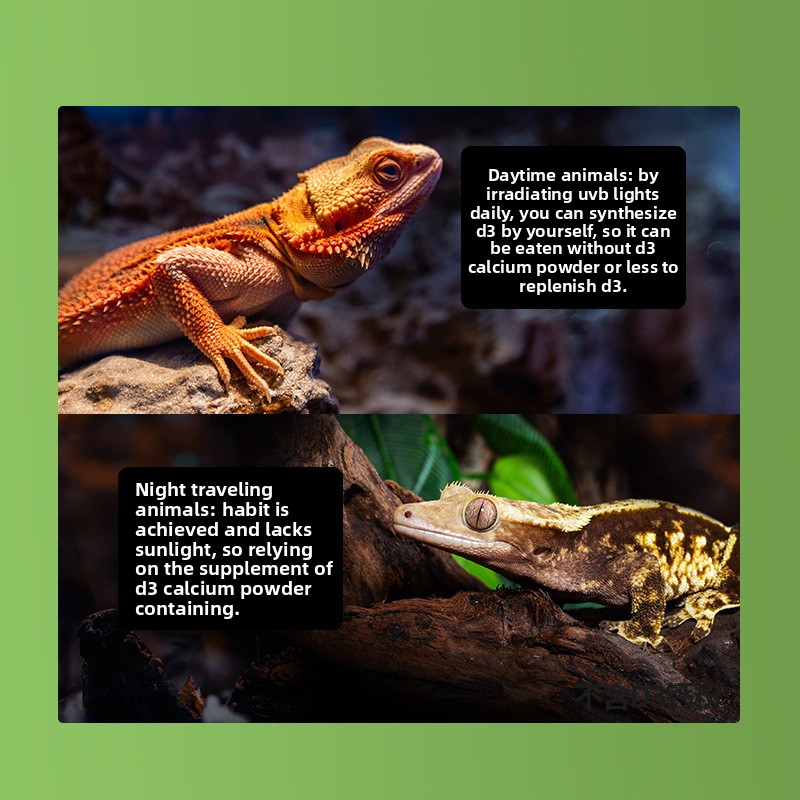 Pó de cálcio para répteis Rept - Calcium Powder Reptile avaliação e preço