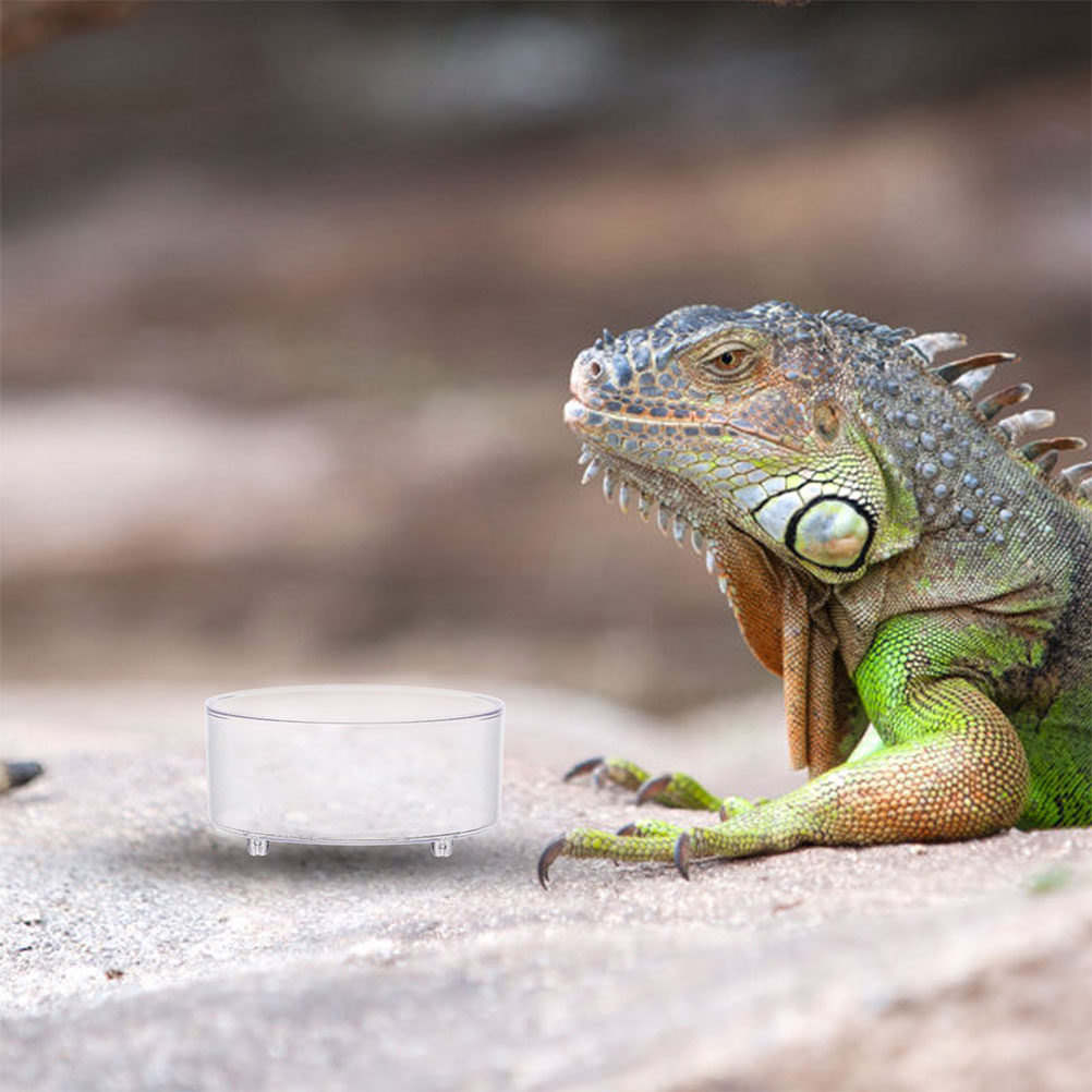 10 Peças Tigela de Alimentação - Water Dish Reptile avaliação e preço