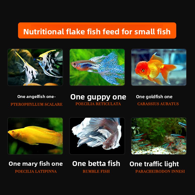 Comida para peixes em flocos d - Tetra Food Goldfish Flakes avaliação e preço