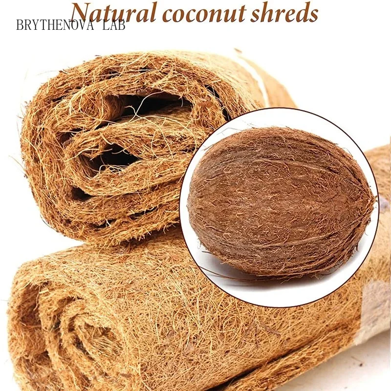 Tapete de Reptil de Fibra de C - Substrate Coconut Fiber avaliação e preço