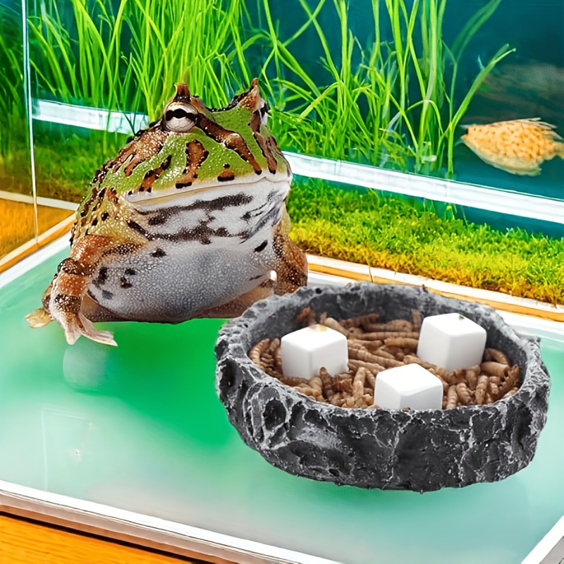 6 pçs tanque de peixes bloco d - Calcium Powder Reptile avaliação e preço