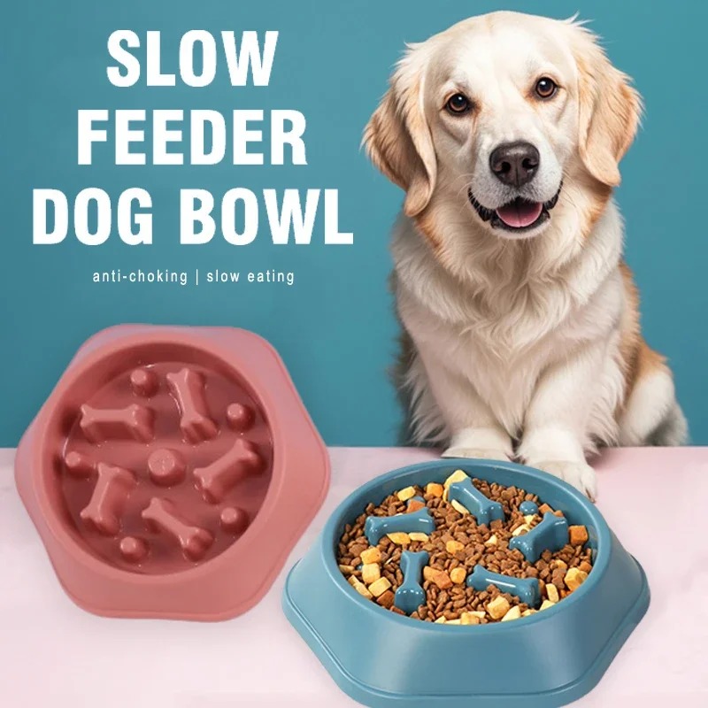 1 Tigela Comedouro Lento para  - Royal Canin Food Medium avaliação e preço