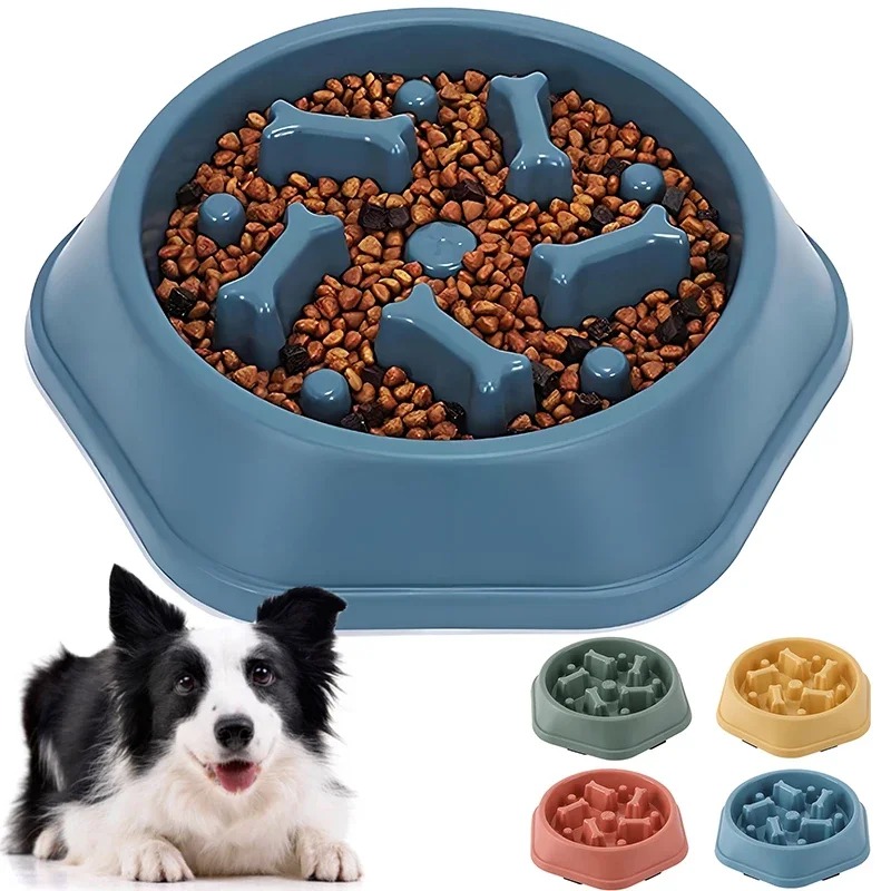 1 Tigela Comedouro Lento para  - Royal Canin Food Medium avaliação e preço