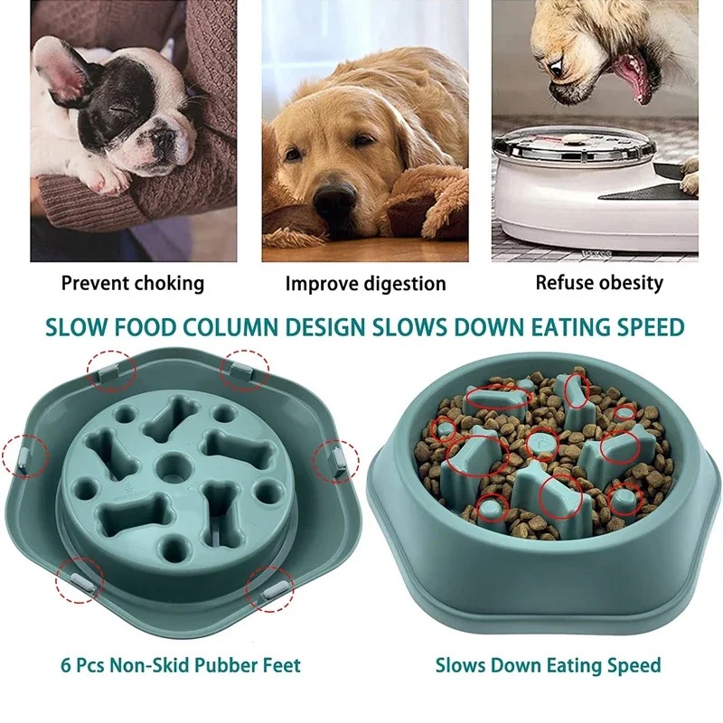 1 Tigela Comedouro Lento para  - Royal Canin Food Medium avaliação e preço